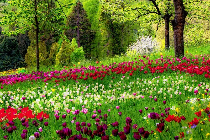 Mainau Island, Germany